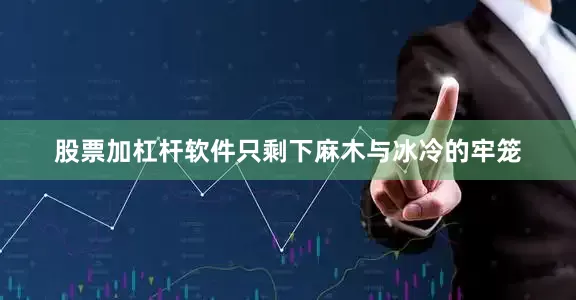 股票加杠杆软件只剩下麻木与冰冷的牢笼