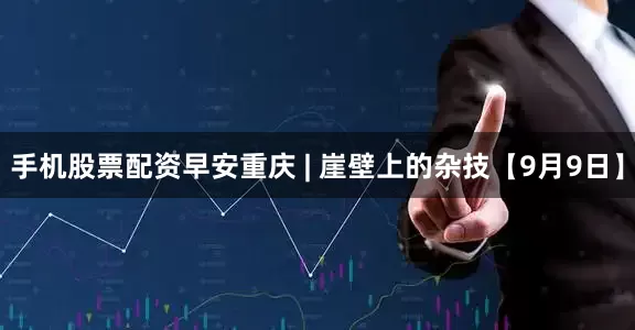 手机股票配资早安重庆 | 崖壁上的杂技【9月9日】